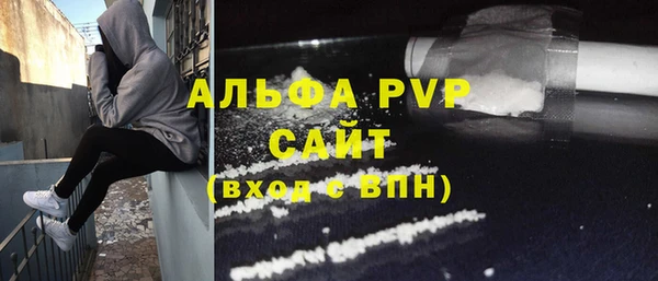 сатива Балахна