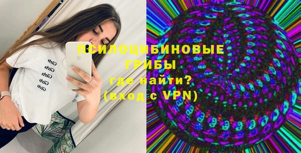 сатива Балахна