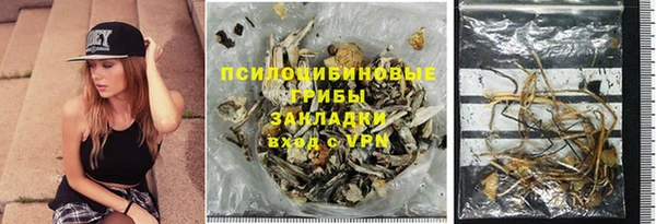 сатива Балахна