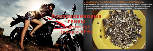 сатива Балахна