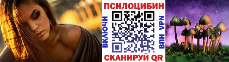 Псилоцибиновые грибы прущие грибы  Щёлкино 